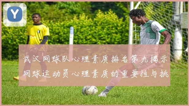武汉网球队心理素质排名第九揭示网球运动员心理素质的重要性与挑战