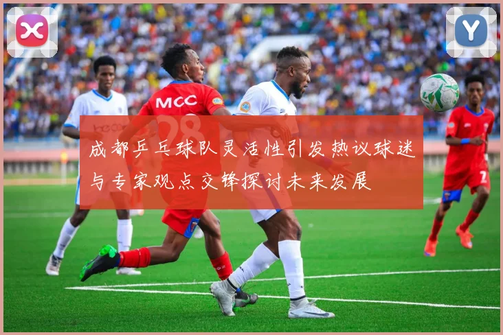 成都乒乓球队灵活性引发热议球迷与专家观点交锋探讨未来发展