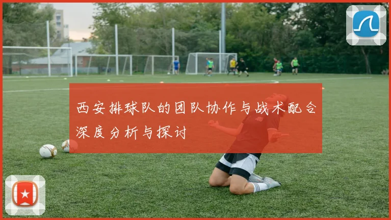 西安排球队的团队协作与战术配合深度分析与探讨