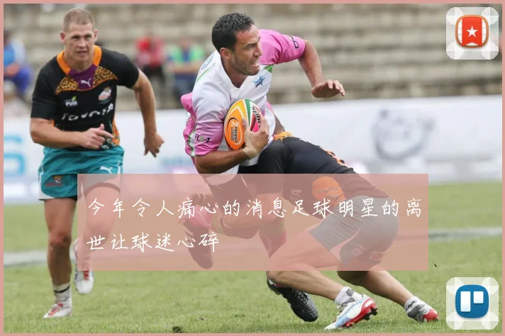 今年令人痛心的消息足球明星的离世让球迷心碎