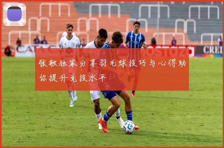 张敏独家分享羽毛球技巧与心得助你提升竞技水平