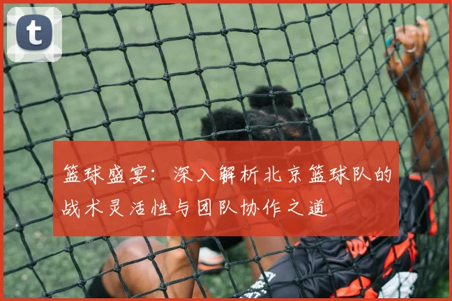 篮球盛宴：深入解析北京篮球队的战术灵活性与团队协作之道