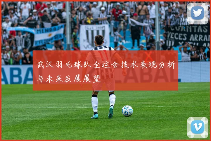 武汉羽毛球队全运会技术表现分析与未来发展展望