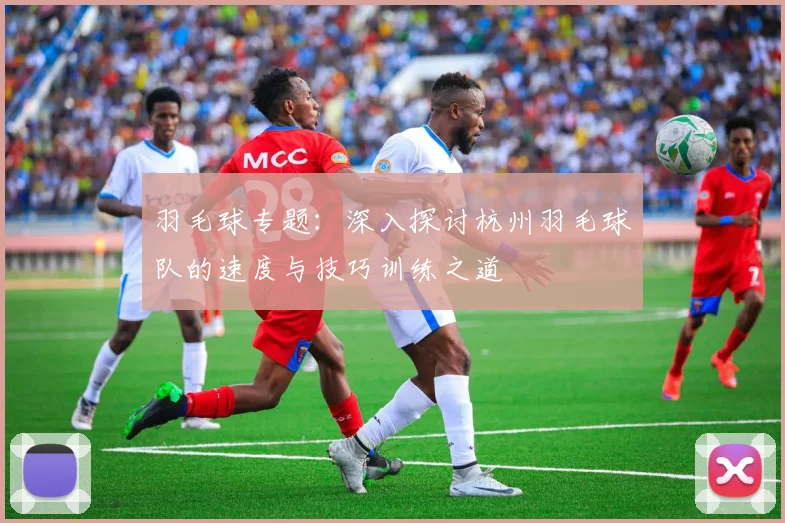 羽毛球专题：深入探讨杭州羽毛球队的速度与技巧训练之道