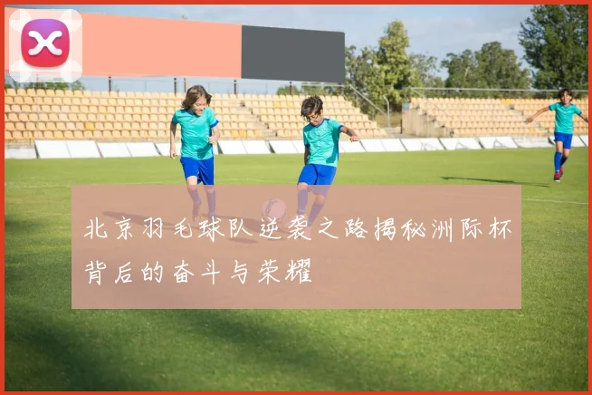 北京羽毛球队逆袭之路揭秘洲际杯背后的奋斗与荣耀