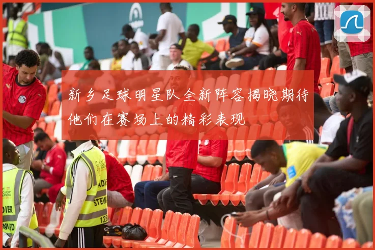 新乡足球明星队全新阵容揭晓期待他们在赛场上的精彩表现