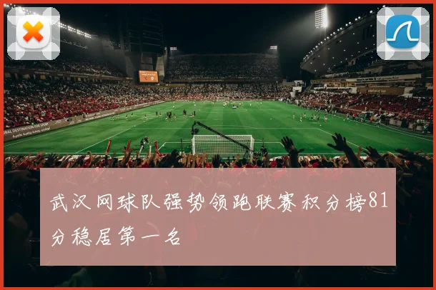 武汉网球队强势领跑联赛积分榜81分稳居第一名