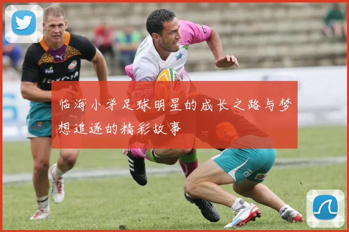 临海小学足球明星的成长之路与梦想追逐的精彩故事