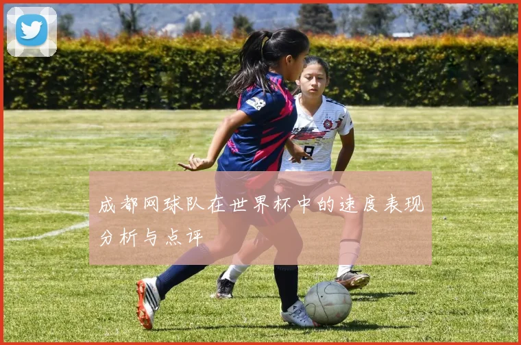 成都网球队在世界杯中的速度表现分析与点评