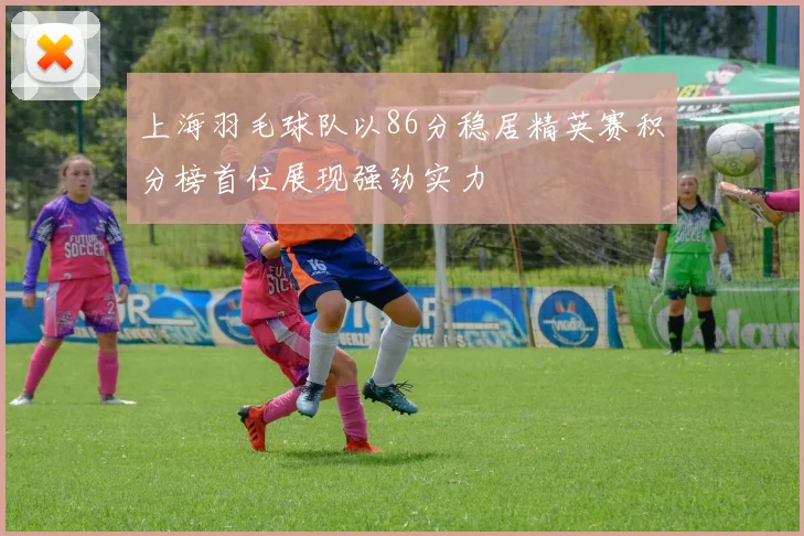 上海羽毛球队以86分稳居精英赛积分榜首位展现强劲实力
